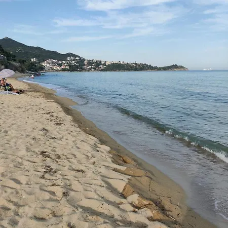 Vitamin Sea Palio Vacation