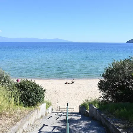 Vitamin Sea Palio Vacation *